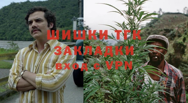сатива Алексин
